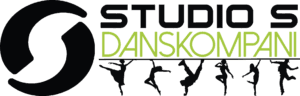 Studio S Logo